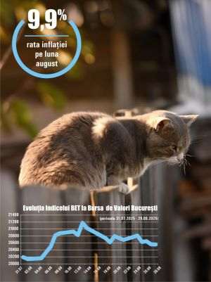 Austerity and reforms